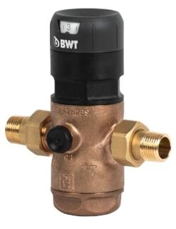 BWT D1 Druckminderer 125300285 1" 85.25