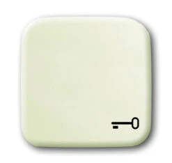 Universal Busch Jaeger Wippe Symbol Schlüssel 2520 TR-212 Weiss Busch Duro 2000 SI