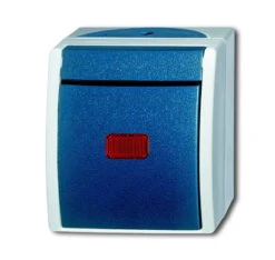 Universal Busch Jaeger Wippkontrollschalter 2601/6 SKW-53 Grau/blaugrün Aus / Wechselschaltung Ocean