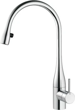 Kwc Eve Küchenarmatur 10111103000FL, A 225 Schwenk Und Ausziehbar, Chrom